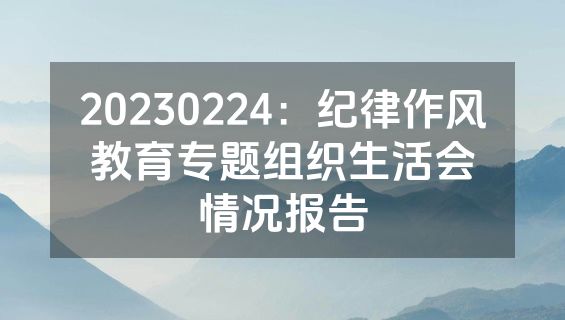 20230224：纪律作风教育专题组织生活会情况报告