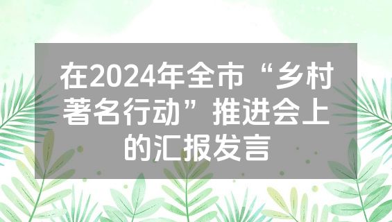 在2024年全市“乡村著名行动”推进会上的汇报发言