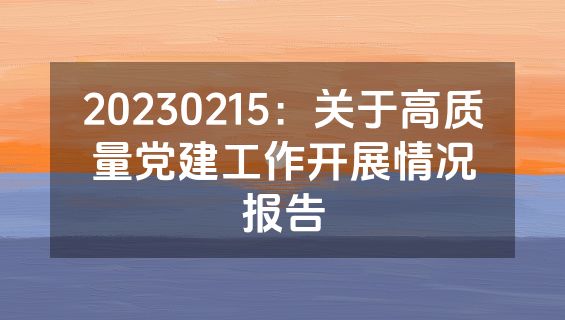 20230215：关于高质量党建工作开展情况报告