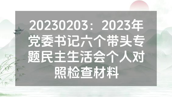 20230203：2023年党委书记六个带头专题民主生活会个人对照检查材料