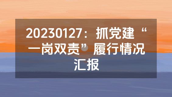 20230127：抓党建“一岗双责”履行情况汇报