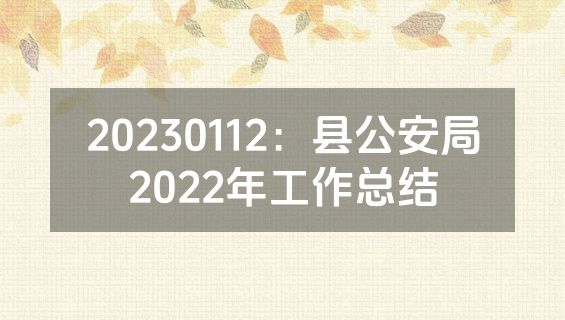 20230112：县公安局2022年工作总结