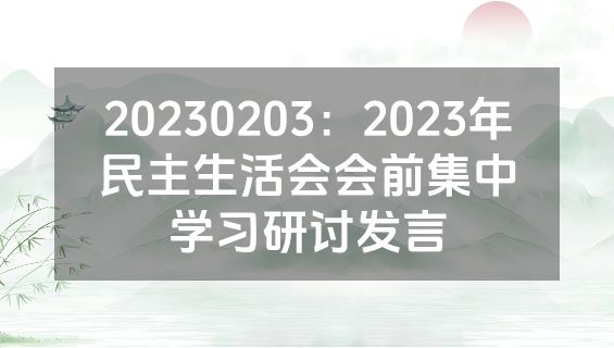 20230203：2023年民主生活会会前集中学习研讨发言