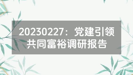 20230227：党建引领共同富裕调研报告