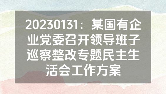 20230131：某国有企业党委召开领导班子巡察整改专题民主生活会工作方案
