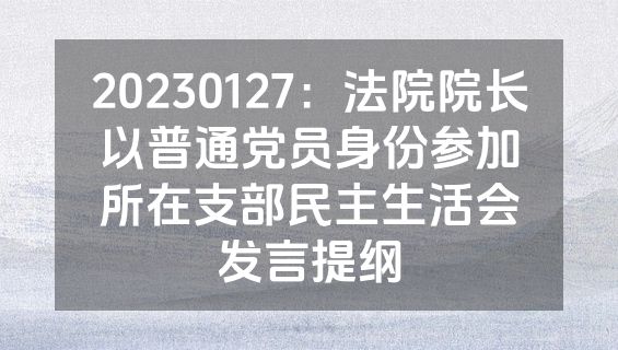 20230127：法院院长以普通党员身份参加所在支部民主生活会发言提纲
