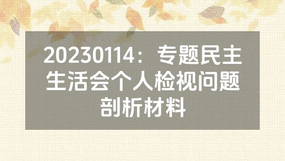 20230114：专题民主生活会个人检视问题剖析材料
