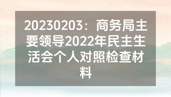 20230203：商务局主要领导2022年民主生活会个人对照检查材料