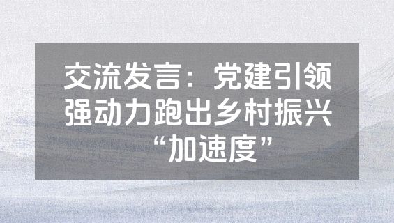 交流发言：党建引领强动力跑出乡村振兴“加速度”