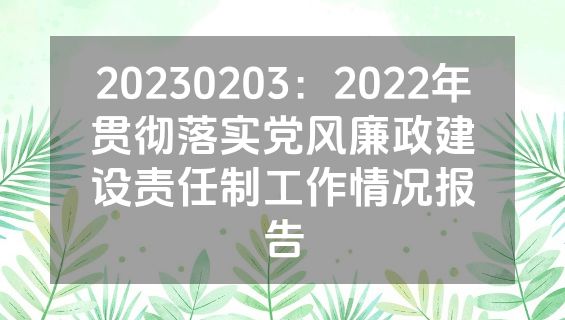 20230203：2022年贯彻落实党风廉政建设责任制工作情况报告