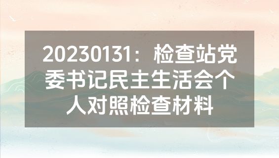 20230131：检查站党委书记民主生活会个人对照检查材料