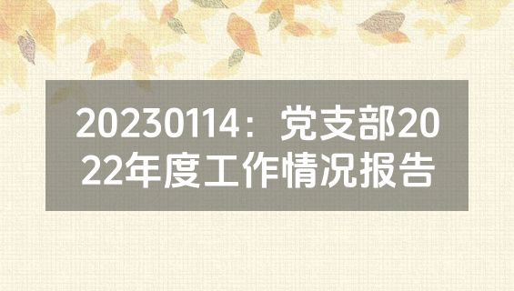 20230114：党支部2022年度工作情况报告