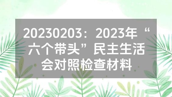 20230203：2023年“六个带头”民主生活会对照检查材料