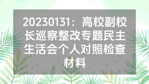 20230131：高校副校长巡察整改专题民主生活会个人对照检查材料