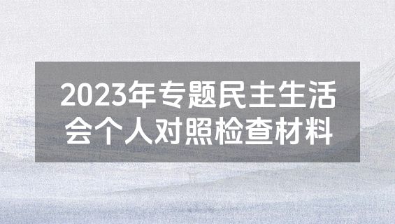 2023年专题民主生活会个人对照检查材料