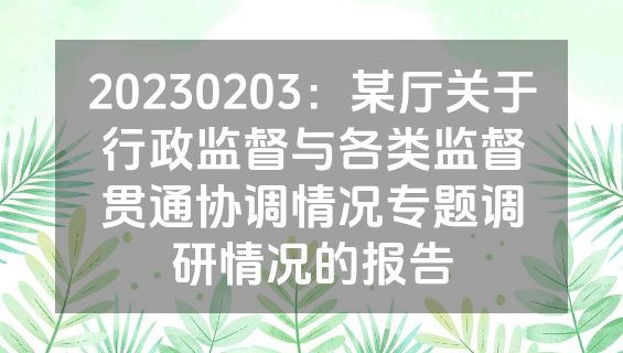 20230203：某厅关于行政监督与各类监督贯通协调情况专题调研情况的报告