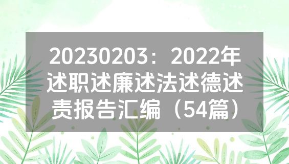 20230203：2022年述职述廉述法述德述责报告汇编（54篇）