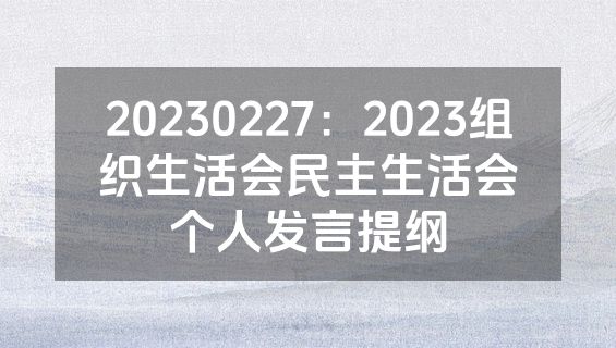 20230227：2023组织生活会民主生活会个人发言提纲