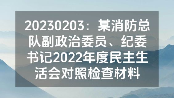20230203：某消防总队副政治委员、纪委书记2022年度民主生活会对照检查材料
