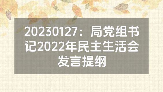 20230127：局党组书记2022年民主生活会发言提纲
