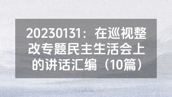 20230131：在巡视整改专题民主生活会上的讲话汇编（10篇）