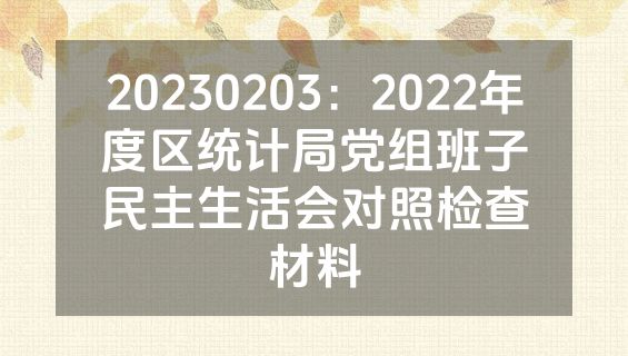 20230203：2022年度区统计局党组班子民主生活会对照检查材料