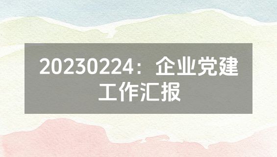 20230224：企业党建工作汇报