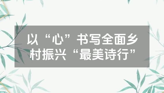 以“心”书写全面乡村振兴“最美诗行”