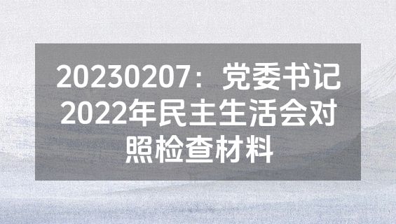 20230207：党委书记2022年民主生活会对照检查材料