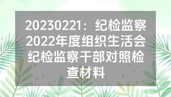 20230221：纪检监察2022年度组织生活会纪检监察干部对照检查材料