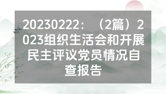 20230222：（2篇）2023组织生活会和开展民主评议党员情况自查报告