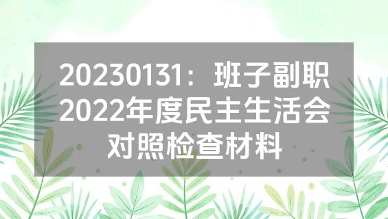 20230131：班子副职2022年度民主生活会对照检查材料