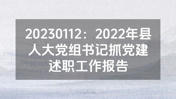 20230112：2022年县人大党组书记抓党建述职工作报告