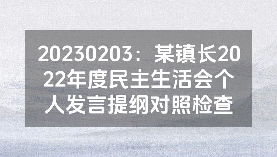 20230203：某镇长2022年度民主生活会个人发言提纲对照检查