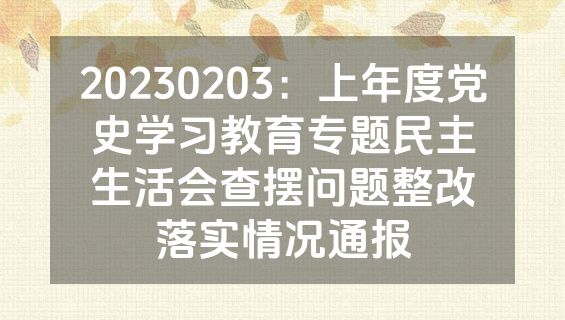 20230203：上年度党史学习教育专题民主生活会查摆问题整改落实情况通报
