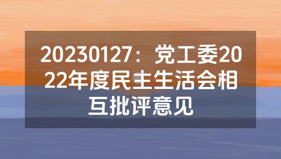 20230127：党工委2022年度民主生活会相互批评意见