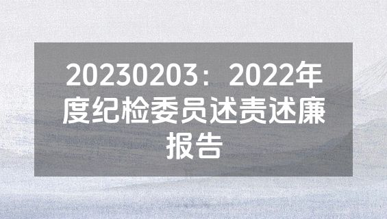 20230203：2022年度纪检委员述责述廉报告