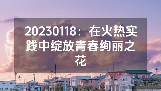 20230118：在火热实践中绽放青春绚丽之花
