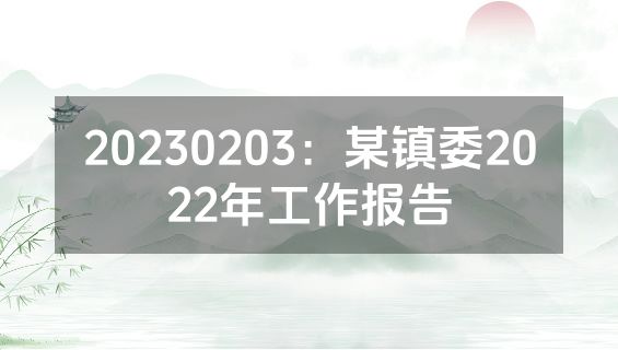 20230203：某镇委2022年工作报告