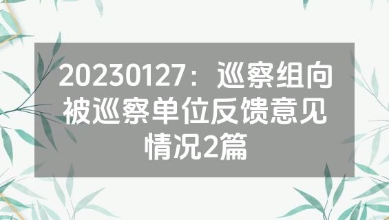 20230127：巡察组向被巡察单位反馈意见情况2篇