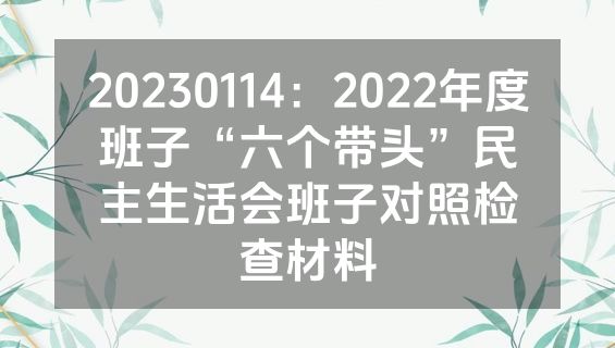 20230114：2022年度班子“六个带头”民主生活会班子对照检查材料