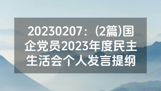 20230207：(2篇)国企党员2023年度民主生活会个人发言提纲