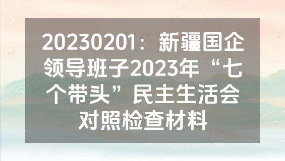 20230201：新疆国企领导班子2023年“七个带头”民主生活会对照检查材料
