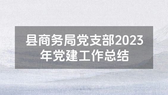 县商务局党支部2023年党建工作总结