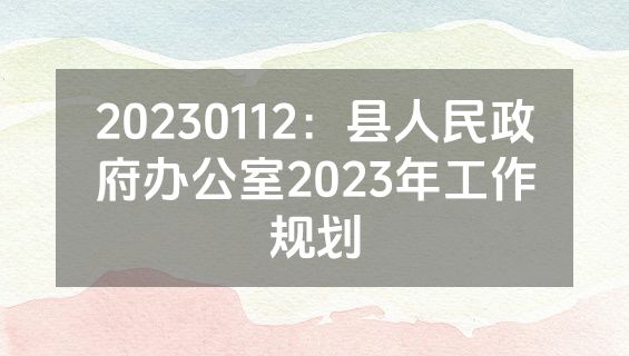 20230112：县人民政府办公室2023年工作规划