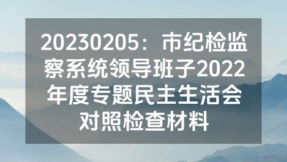 20230205：市纪检监察系统领导班子2022年度专题民主生活会对照检查材料