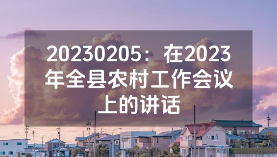 20230205：在2023年全县农村工作会议上的讲话