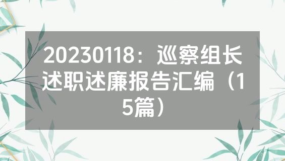 20230118：巡察组长述职述廉报告汇编（15篇）