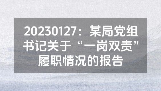 20230127：某局党组书记关于“一岗双责”履职情况的报告