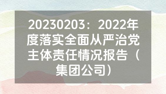 20230203：2022年度落实全面从严治党主体责任情况报告（集团公司）